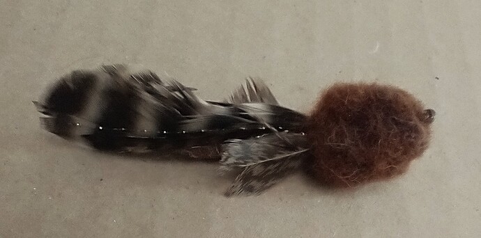 IMG_20260222_145132043_HDR