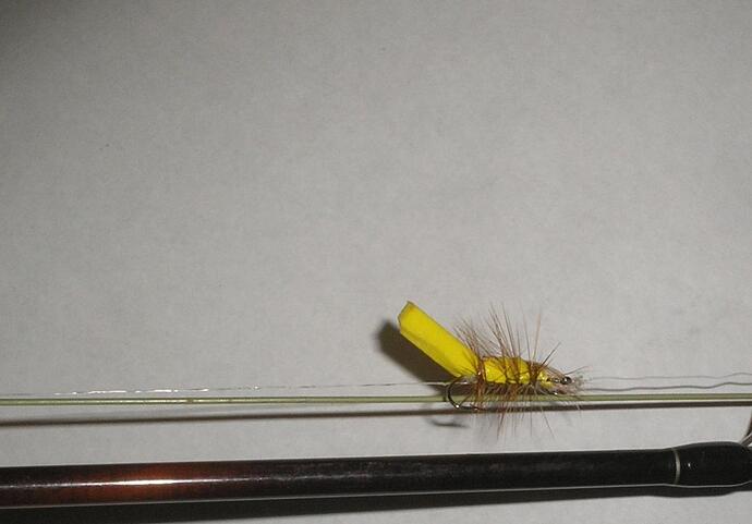 Damaged grasshopper.jpg