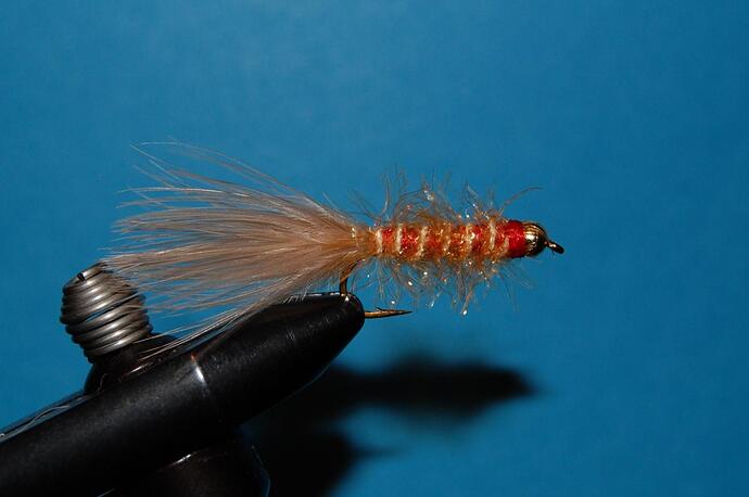 Golden Retreiver.jpg