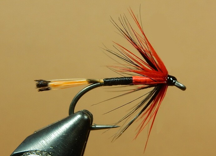 Devil's Spouse 1080.JPG