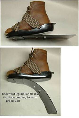 Forward moving fins.jpg