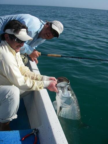 Holbox Tarpon.jpg