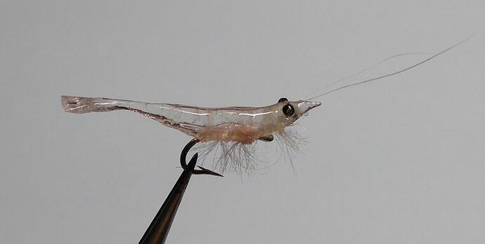 Mysis 13- pink.jpg