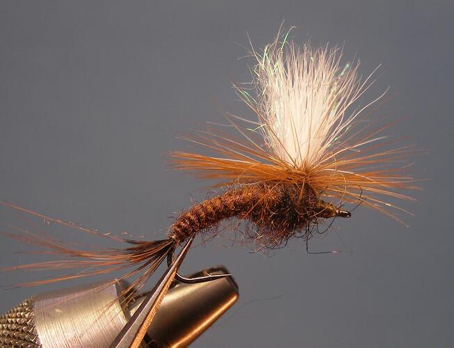 Dry fly 10.jpg
