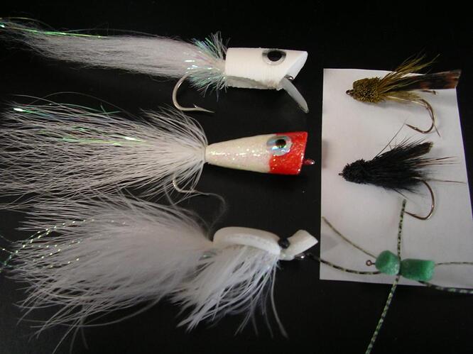 CHFF Topwater August 002.jpg