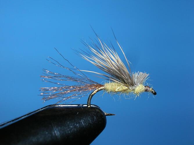 Xcaddis.jpg