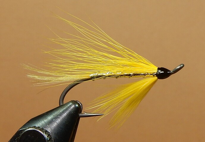 Yellow-Bucktail-1080.jpg