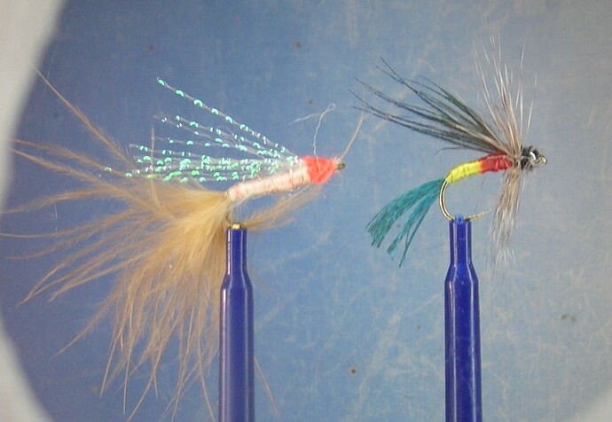 DSCN5141