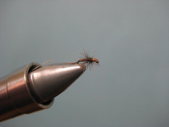 part 2 flies 007.jpg