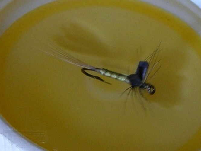 DSCF4559.jpg