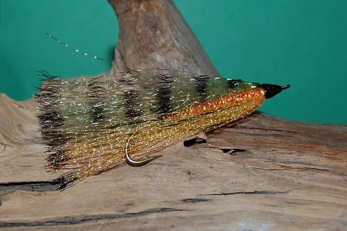 Little Perch Streamer.jpg