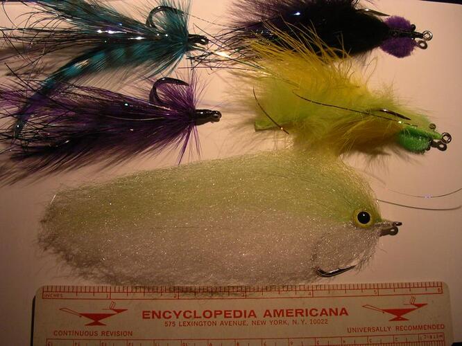 CHFF June Fly Tying 2010 002.jpg