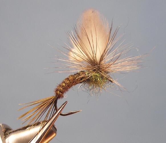 Dry fly 7.jpg