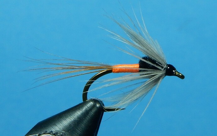 Carrot and Black Soft Hackle 800