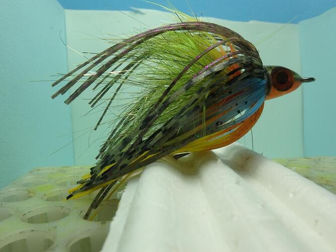 sunfish.jpg