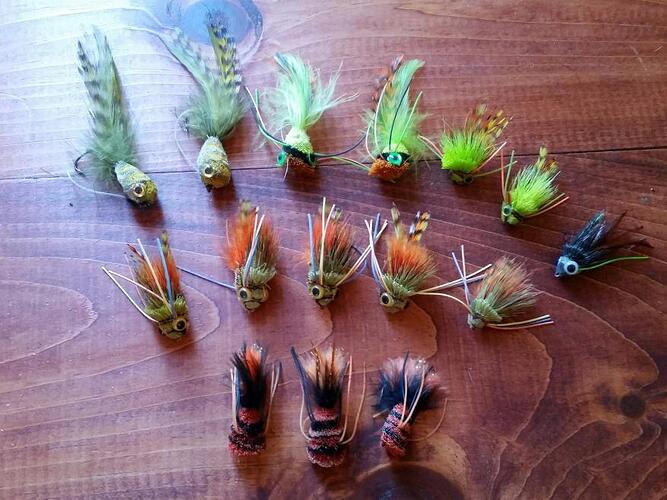 2017-04-10 22.52.13 - Edited.jpg