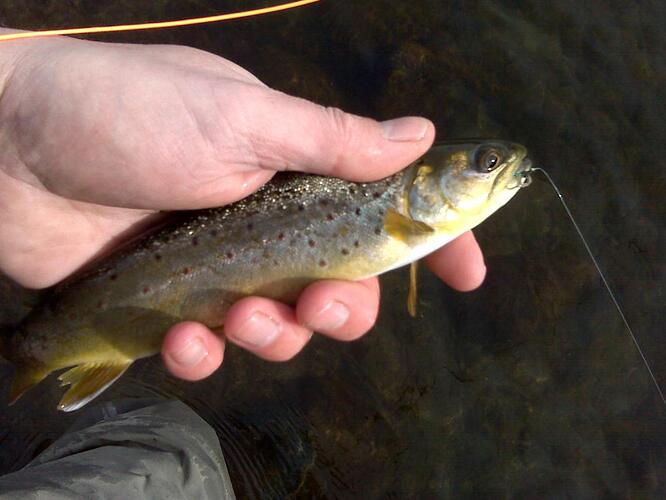 fishing trip 2 021.jpg