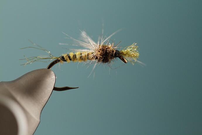 floating nymph 1.jpg