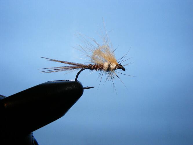 LTD March Brown.jpg