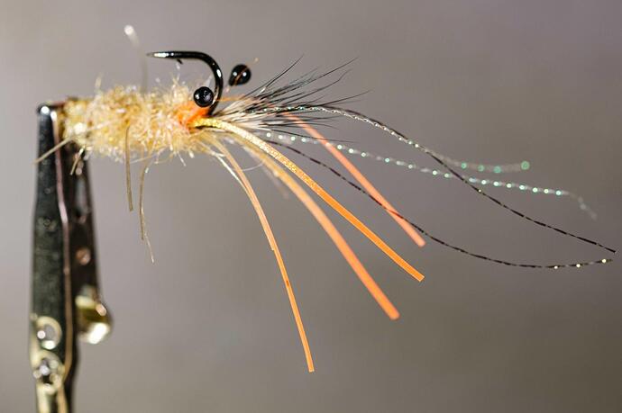 Bonefish shrimp (2 of 2).jpg
