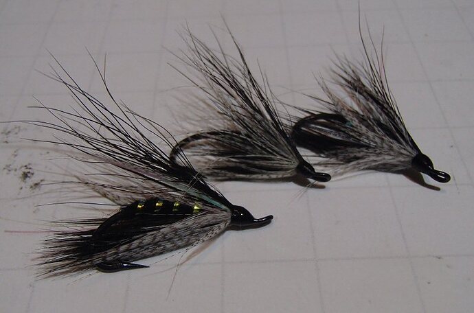 20190318WMDSalmon.JPG
