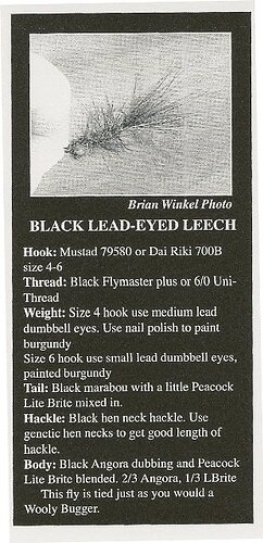 blackeyed leech.jpg
