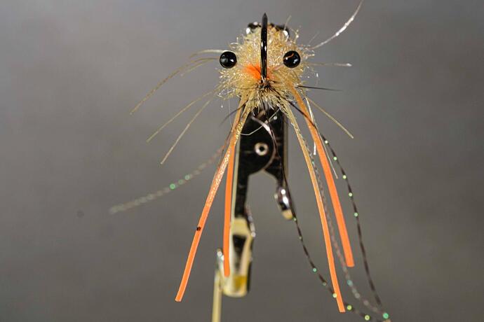 Bonefish shrimp (1 of 2).jpg