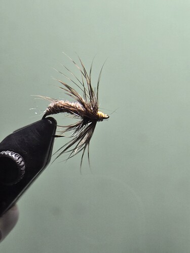 312b3bdc-289a-416b-b734-0ace72d15b12-1_all_2489