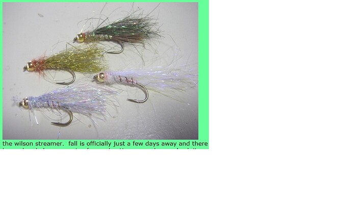 wilson streamer.jpg