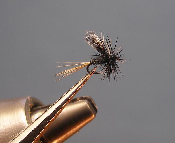 Dry fly midge 2.jpg