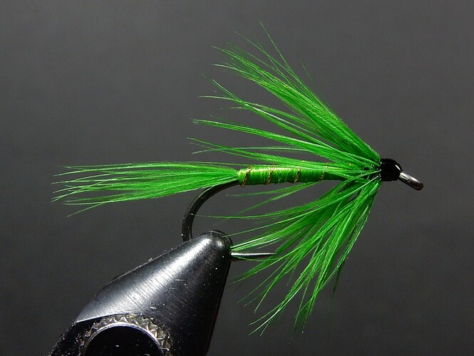 Green Nymph 1080.JPG
