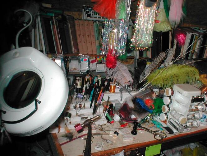 P1010070.jpg