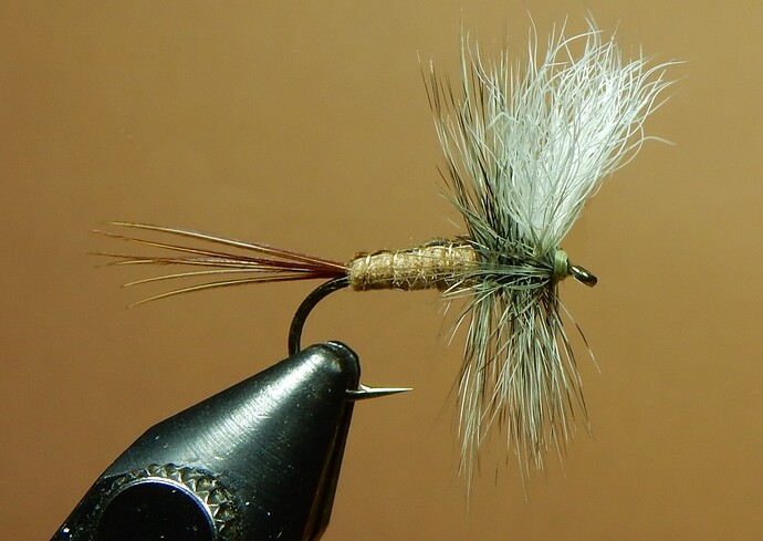 Callibaetis Wulff 1080