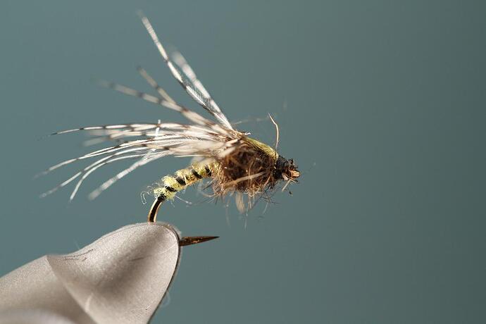 caddis using LREN hackle style with soft hackle.jpg