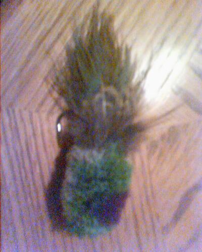 pic101609_1.jpg