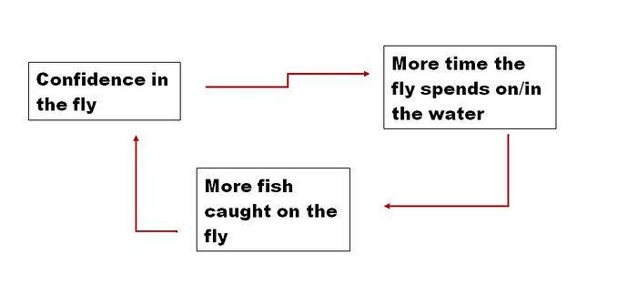 fly fish triangle.JPG