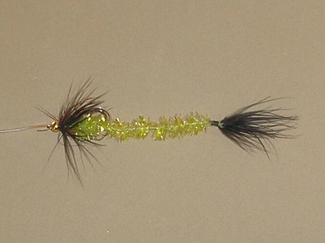 Worm fly 5.jpg