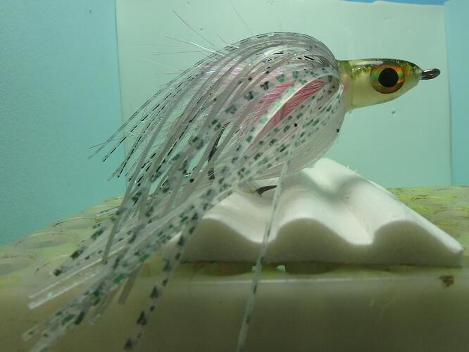 shad.jpg