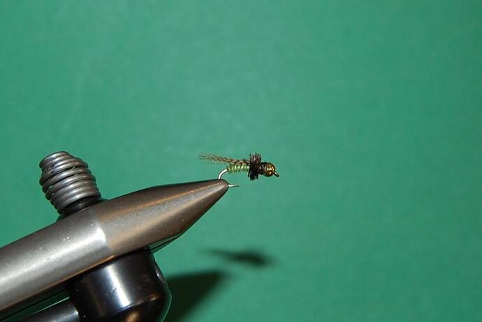 Biot Caddis Energer.jpg