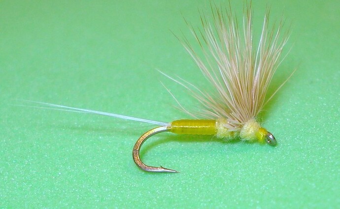 Sulphur Comparadun.jpg