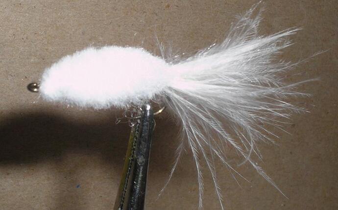 blank minnow 2.jpg