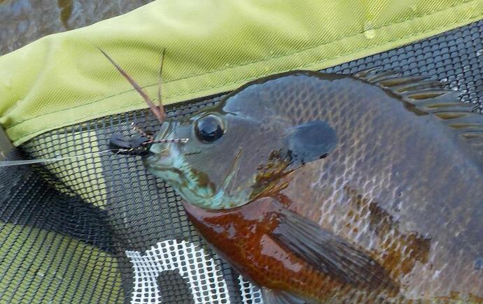 DSCN0592 - Edited (1).jpg