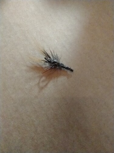 IMG_20241207_163253283_BURST000_COVER (1)