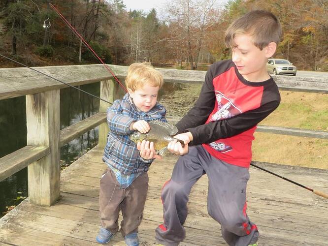2015 two-handed bluegill.jpg