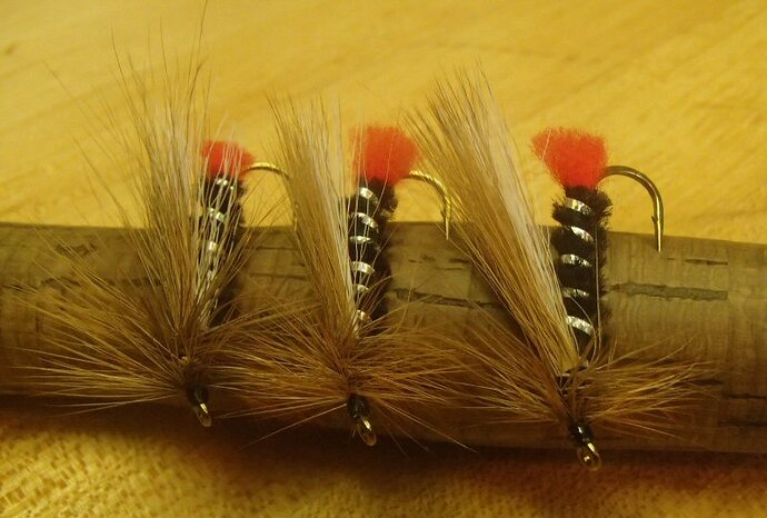 20170204HoughtonLakeSpecial.JPG