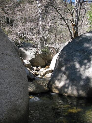 Bear Creek pockets.jpg