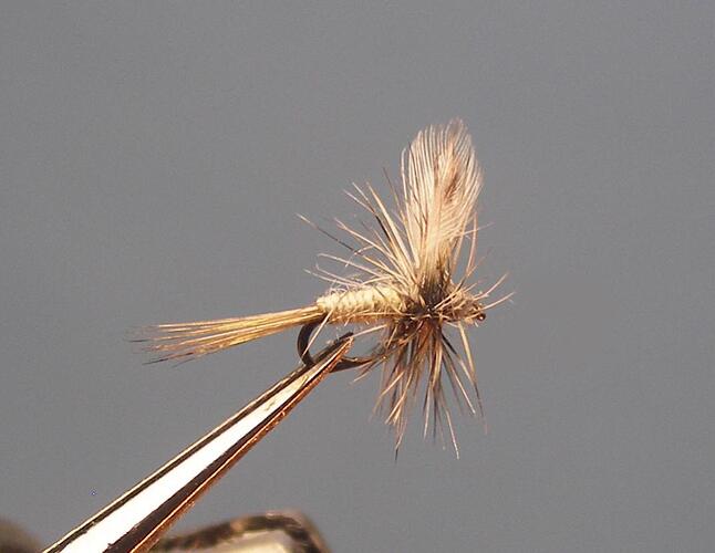 Dry fly midge 1.jpg