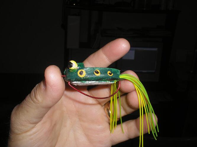Frog side view 2.jpg