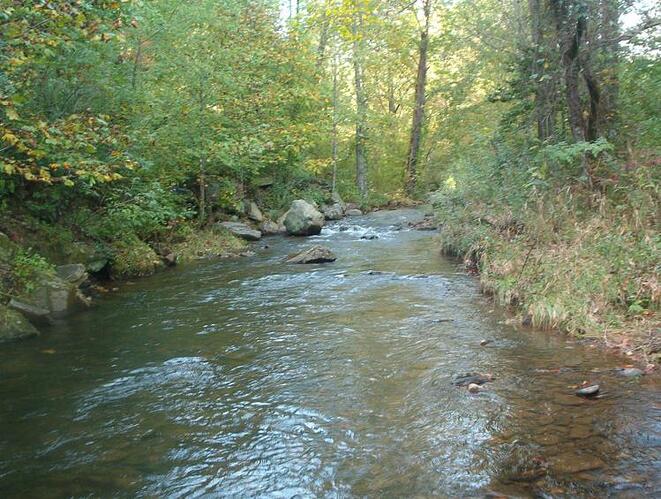 smith creek.jpg