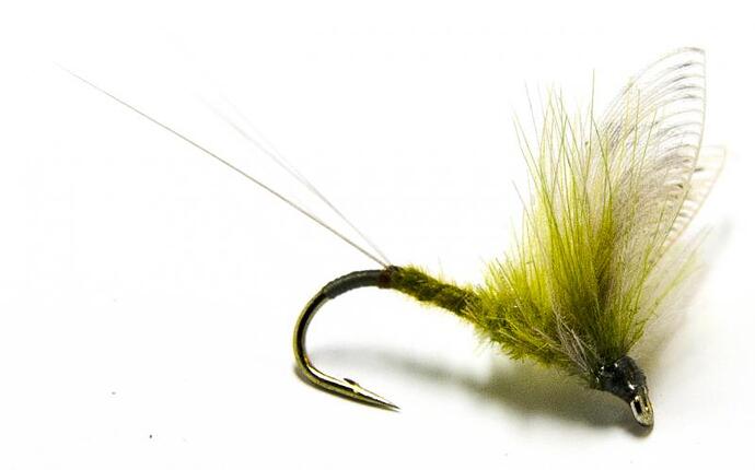WWMP_0006_zps00a73527.jpg